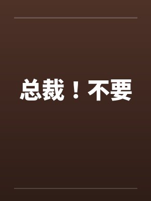 总裁！不要