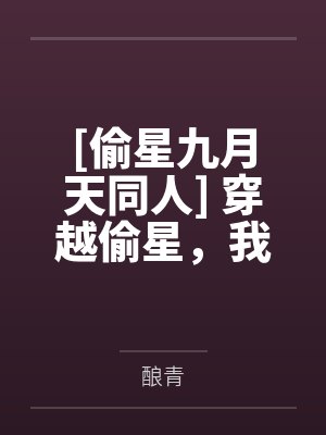 叶寻十月[偷星九月天同人] 穿越偷星，我成了黑月铁骑