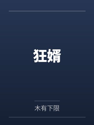 狂婿