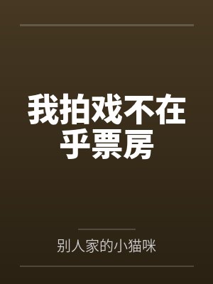 我拍戏不在乎票房