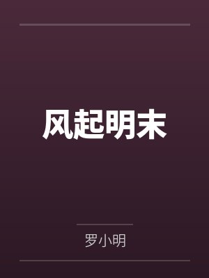 风起明末